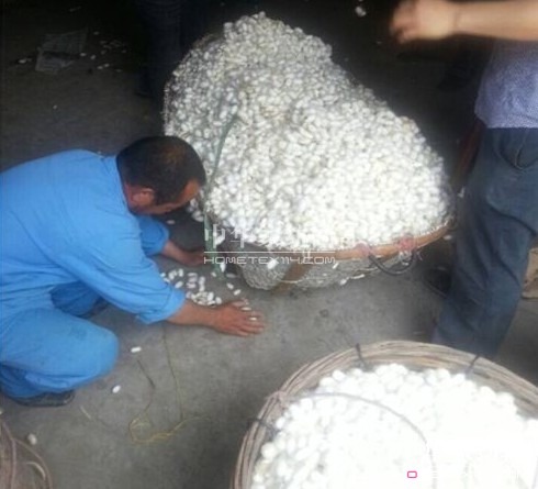 ͩ�l�����d�ȵ��_(k��i)ʼ��ُ���괺�O