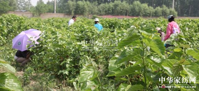 ���ýz�I��ɣ�ز�ժ���A�M(m��n)��Ļ