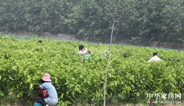 ���ýz�I��ɣ�ز�ժ���A�M(m��n)��Ļ