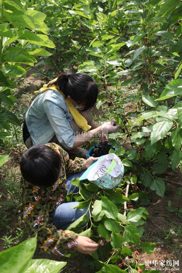 ���ýz�I��ɣ�ز�ժ���A�M(m��n)��Ļ