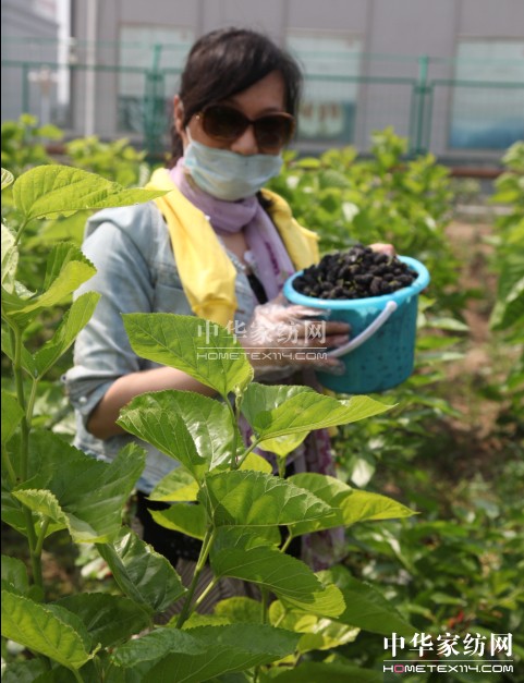 ���ýz�I��ɣ�ز�ժ���A�M(m��n)��Ļ