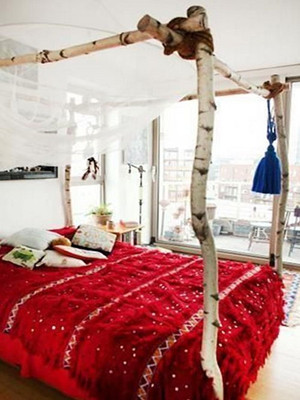 ˯����(chu��ng  )�����c(di��n)�� ���ܽ��܆���