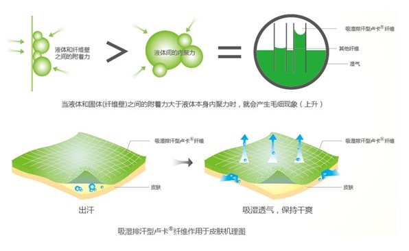 �ļ���Ʒ�o�B����ϴ��߀����