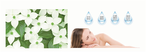 �{�׷���R���w�S���������z�y����ȫ�ɿ�