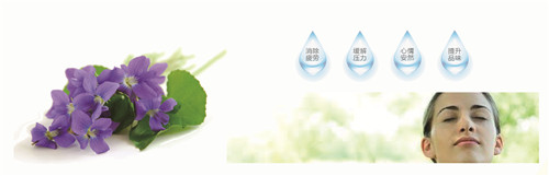 �{�׷���R���w�S���������z�y����ȫ�ɿ�