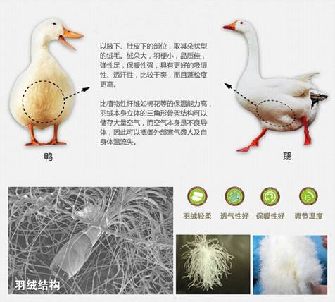 �W�ɼҼ����������u(m��i)�������xُ��Ʒ����q��