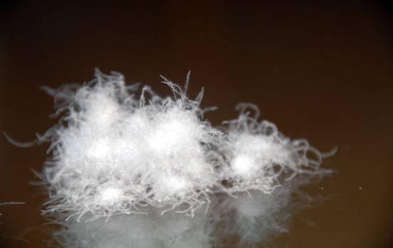 �W�ɼҼ����������u(m��i)�������xُ��Ʒ����q��