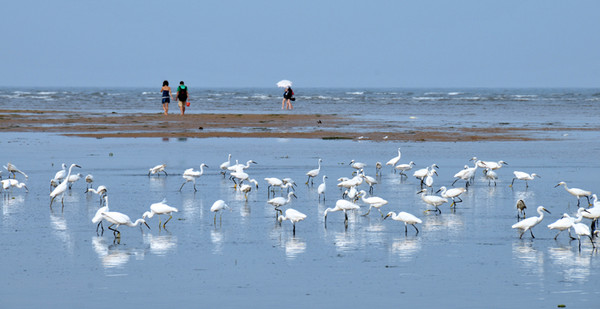 �����˹��á����ăr(ji��)ֵ׌�����������