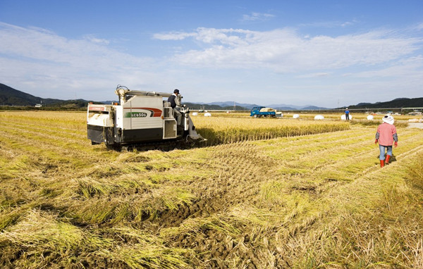 ���|���l�ӵؚ� �l(f��)չ�r���Ј�(ch��ng)