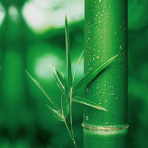 �����J�R�h(hu��n)��ԭ�ϡ������w�S