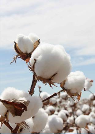 �W�ɼҼ������������ۼ���һ�ӵğ��