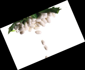 �Q�z���q�r(ji��)������](m��i)�ך���