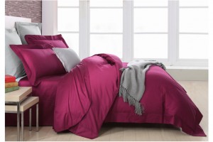 �Ҽ�ץס���^����׌��͎���