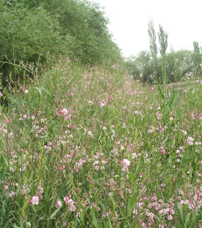 �½�һ��I(y��)�_(k��i)�l(f��)��80֧�߼��_���鼆�Ҽ��ļ����ۃr(ji��)11�f(w��n)