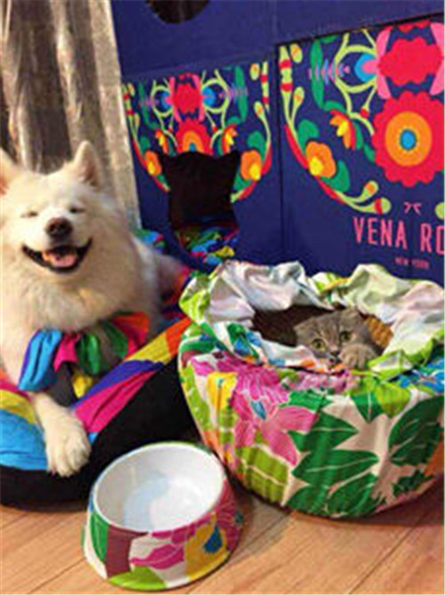 ���Ӷ�����Ψ�_�Ҽ����ص��̘I(y��)ģʽ