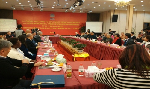 APEC��(hu�� )����20���������⽻���R�L(f��ng)�_���z�I