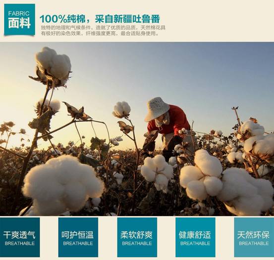 �����ԼҼ�������ʧȥ�ľ���҈@