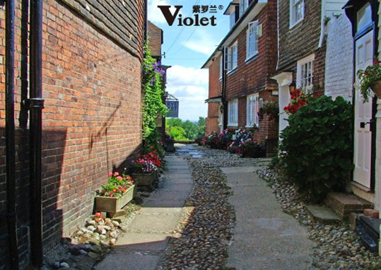 ���_�m���m�qϵ�У���(l��i)�ԚW�޵ı�ů�w�