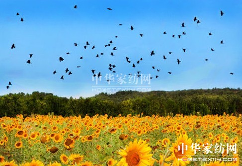 ����һ��ȥ���_��˹���s����