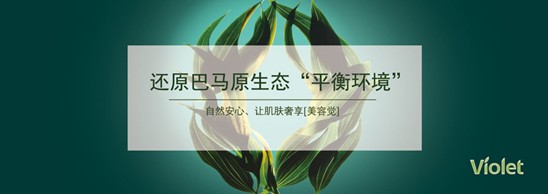 ���_�m�Ҽ������D�f�@���I(l��ng)��Ӣ���F��ķ��Aʢ��