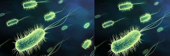 ���_�m�Ҽ�������˯��������˯��������