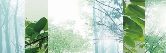 ���_�m���C�Ҽ���߀ԭ���Rԭ���B(t��i)ƽ��h(hu��n)��