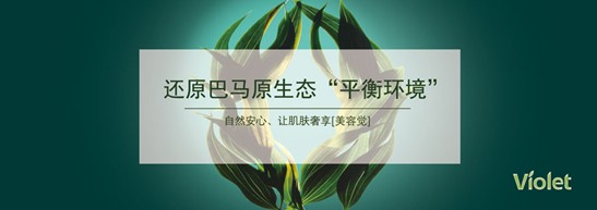 ����˯����ه(l��i)��Violet���C�Ҽ�