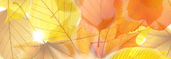 ����˯����ه(l��i)��Violet���C�Ҽ�