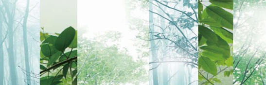 ����˯����ه(l��i)��Violet���C�Ҽ�