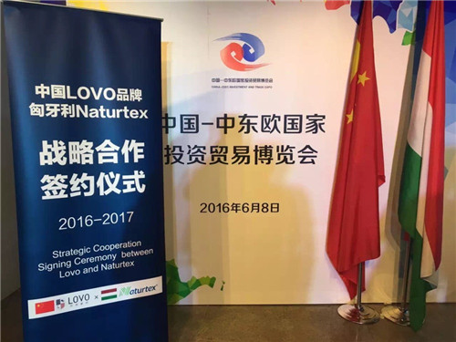 �Ж|�W���[��(hu�� )����_(k��i)Ļ�_�RLOVO���Ƞ�����������q��