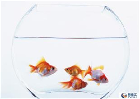 �û�����Ҿ���Ʒ�������^(gu��)��(g��)����ˬ��÷�꼾