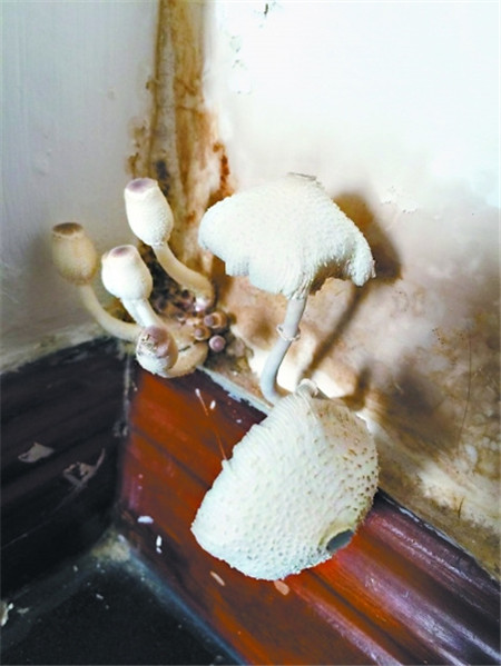 �û�����Ҿ���Ʒ�������^(gu��)��(g��)����ˬ��÷�꼾