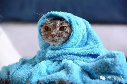 ��ԡ���ë�����Ԍ�����ë��Ҳ�����v����