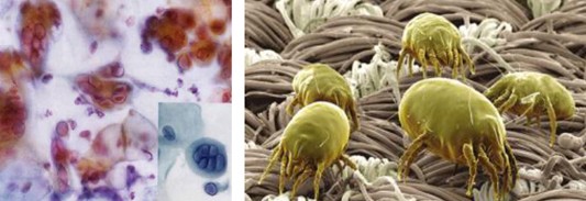 ���_�m�Ҽ�����(��i)������������(��i)��360�㝍����˯