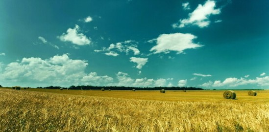 ���_�m�Ҽ���ɭ��������˯�ߡ����C���Сɭ��