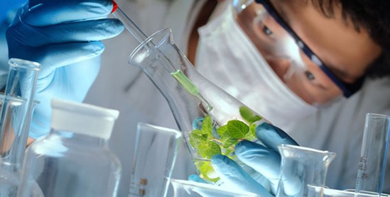 ���_�m�Ҽ���ɭ��������˯�ߡ����C���Сɭ��