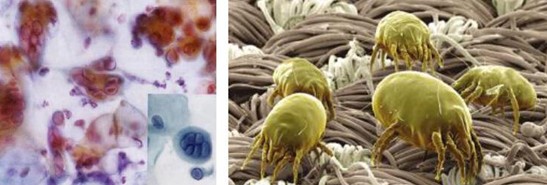 �ܽ^���f(w��n)���x(ch��ng)�����x���_�m���C�Ҽ�