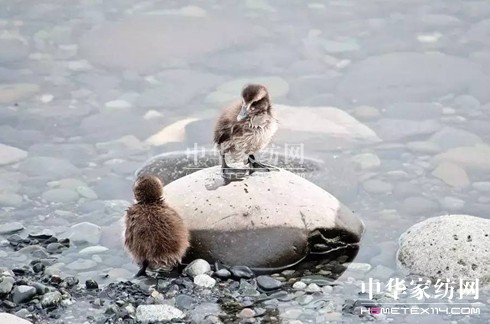 ������27�f(w��n)�I(m��i)�²���Ҽ�"����"��"����"��