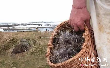 ������27�f(w��n)�I(m��i)�²���Ҽ�"����"��"����"��