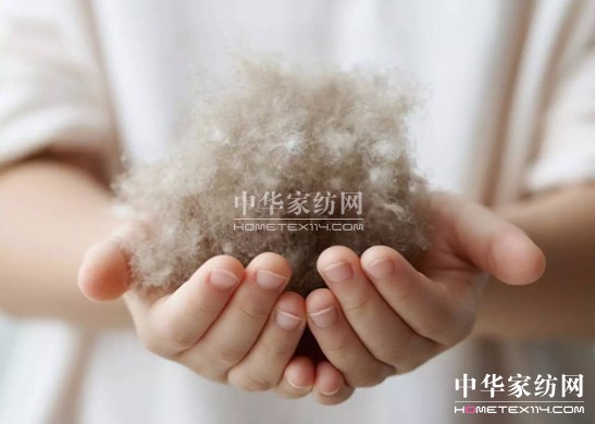 ������27�f(w��n)�I(m��i)�²���Ҽ�"����"��"����"��