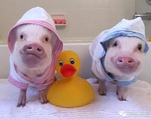 ��ԡ���һ�l��ԡ�����͎��o�㲻�Զ������Ҹ���