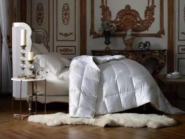 19�f(w��n)8���I(m��i)����Ҽ������������ފy��ĺ����Ԇ���