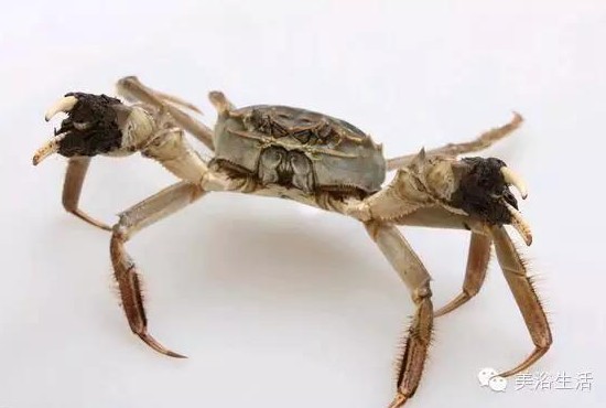 ��ԡ����Â���Ĵ��lз��з�S��ʳ��зȯ������з��������ë����