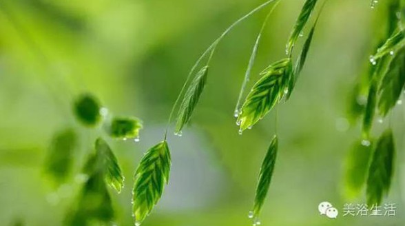 ��ԡ���Փһ�lë�����������B��