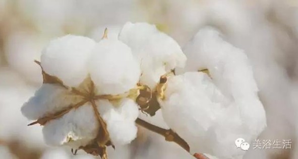 ��ԡ���Փһ�lë�����������B��