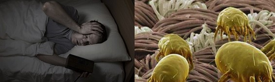 ���z�R�����_(k��i)�����B(t��i)���ܼҾ�4.0�r(sh��)��