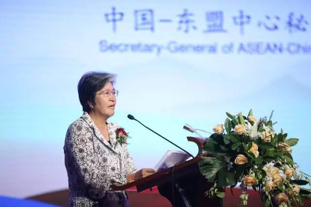 䁾̈́�(chu��ng  )�����Gɫ���ɳ��m�l(f��)չ���½z·��2017��һ��һ·���������b�a(ch��n)�I(y��)�l(f��)չՓ���ڞ���ľ�R���_(k��i)