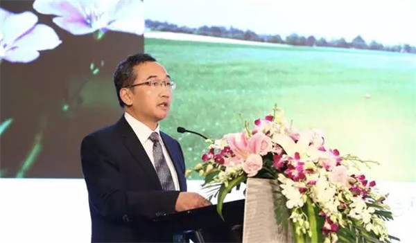 �����׃��������(chu��ng  )������δ��(l��i)��2017�Ї�������(hu�� )���Ϻ����_(k��i)