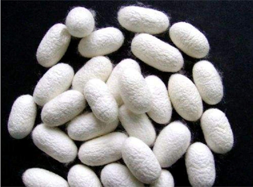 ͬ���ǽz�����W�_���{ʲô���f(shu��)������(��i)�R����