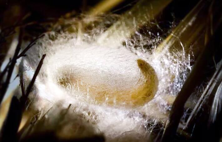 Ϧ�̽z�I�W(xu��)��֮�Q�z��������